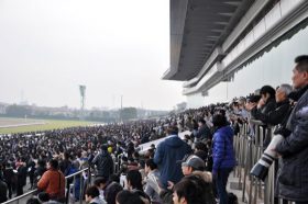 「ベッキー」と「文春」の第2ラウンドが競馬場で勃発!? 2歳牝馬のベッキーに続き、販促ならぬ反則級の「流行語大賞候補」馬が登場！