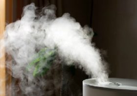 公共空間での「香り」演出が波紋…一部の客を「排除」する害悪か