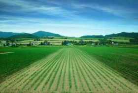 地方移住礼賛ブームのまやかし　生活費アップ、低福祉や寿命縮める恐れ