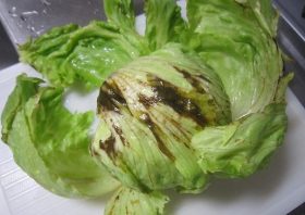 某大手コンビニでレタスを購入したら中が真っ黒…ずさんな生鮮食品管理の実態！
