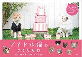 うちのネコもアイドルになれる!? CM、TVに引っ張りだこの“タレント力のある猫”の見極め方