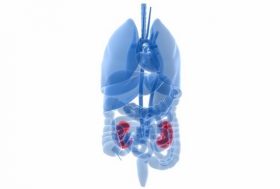 がん、糖尿病の予防には毎日の飲酒？高血圧者は腎臓がんリスクが4倍以上に！