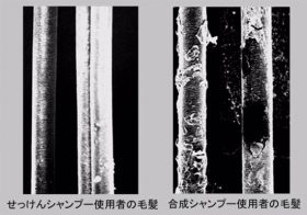 トニックシャンプーは使用NG！ハゲや抜け毛の恐れ、危険な成分配合、毛穴の油は必要