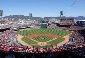 広島カープファンを急増させたメカニズム…プロ野球の「熱狂」から学ぶべきこと