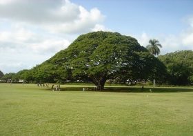 「勝ち組」日立、容赦なき非情な事業切り離しを先鋭化…売上1兆円減でも解体的改革