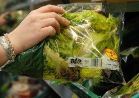 茶色で萎れたスーパーのレタス、再加工→再々加工で「新鮮さ」偽装？