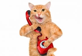 モー娘。全盛だったあの時代、あの人気タレントは事務所の電話番や事務作業までやらされていた