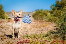 キムタクは主演映画PRで必死のドサ回り、中居正広は共演芸人に気を遣わせる…