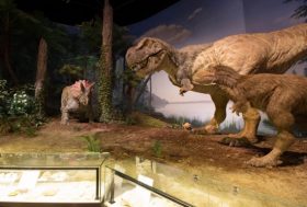 GWに必見！謎だらけ＆世界最大の○○が見られる博物館！空飛ぶ翼竜の目線も体験