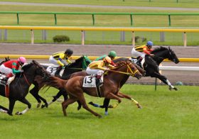 数分で千円が166万円に大化け！高額配当連発の夏競馬、超貴重情報を無料提供！