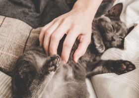 ブレイク中の某人気俳優X、「逮捕間近」との情報が業界内で飛び交う