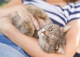 松本潤、ジャニーズの後輩たちへの「教育」で「煙たい先輩」扱いか