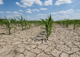 関東、渇水で断水や給水制限の可能性も…雨不足でダムの貯水率低下