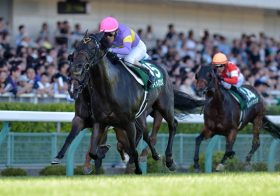 馬券で勝ちたいなら「○○情報」が絶対不可欠！スプリンターズステークスの極秘情報