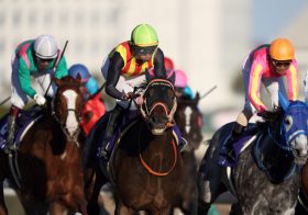 チャンピオンズカップで万馬券を獲る！今年の12月は過去最高に稼げるチャンス！