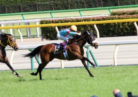 競馬・アーモンドアイ、共同馬主は1口6万円出資で賞金分配額144万円！夢のような大化け馬！