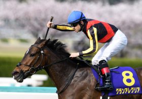 【令和初G1】NHKマイルC、グランアレグリアが必勝態勢？万馬券必至の穴馬情報を入手！