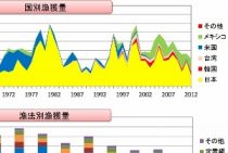 巨大なクジラの死体が東京湾を漂流 海上保安庁が注意喚起