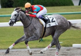 ラニの最新ニュース記事 まとめ ビジネスパーソン向けニュースサイトのビジネスジャーナル ラニの最新ニュース記事 まとめ ビジネスパーソン向けニュースサイトのビジネスジャーナル