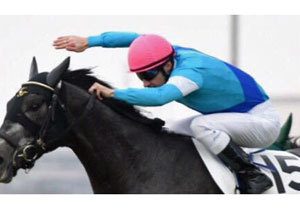 3億円稼いだ現役競走馬がネットオークションへ 中古 の表記に 命の冒涜 の声もその行方は Gj