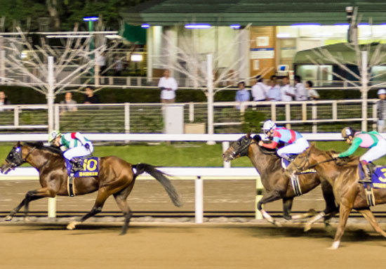 Jra騎手目指し M ミシェル騎手が最多勝記録を更新 確かな腕を持つ 美人過ぎる騎手 は 中央の壁 を超えるのか Gj