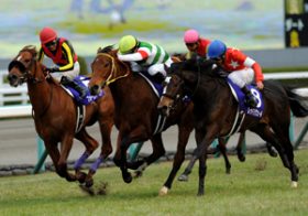 今週末の競馬・日本ダービー、注目の牝馬に課題で大混戦？高精度の異色競馬サイトが分析