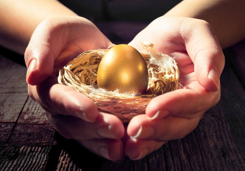 金の卵を産むニワトリを使って、最大限の利益を稼ぐ方法…「現在価値」という重要な思考の画像1
