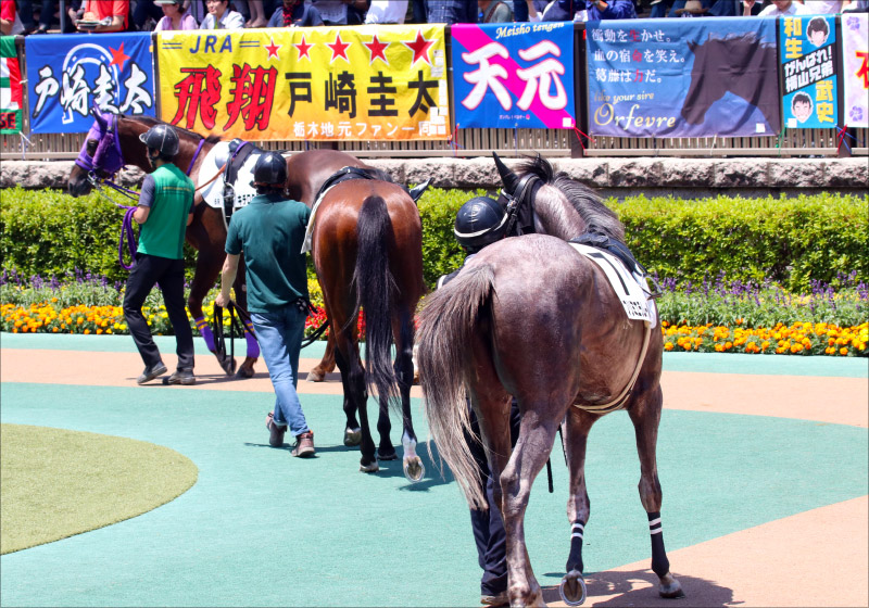 ウマ娘 ドーブネ2連勝も武豊の代打 吉田隼人に酷評 元jra藤田伸二氏 池添謙一 メイケイエールにご満悦 10億までは降りない って10億稼いだ馬って何頭いるの 週末gj人気記事総まとめ Gj