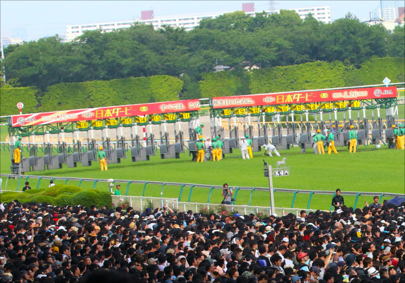 JRA 桜花賞馬デアリングタクト「日本ダービー（G1）」挑戦か!? ウオッカ以来「史上4頭目」牝馬のダービー馬への画像1