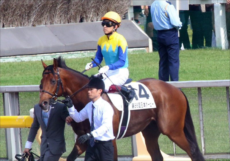 JRA札幌記念（G2）ランフォザローゼス「3歳馬の呪い」好走馬はビッグネームばかりの苦境の画像1