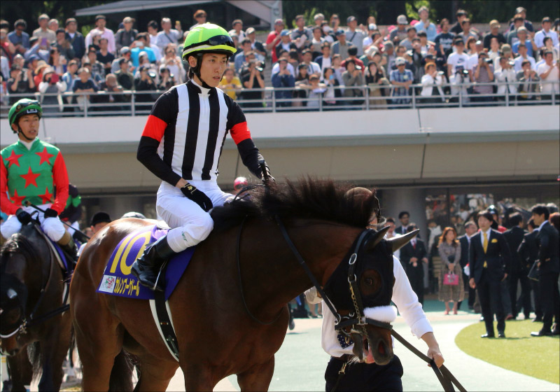 JRA京都記念（G2）「重圧に弱い？」津村明秀騎手がカレンブーケドールでジンクス打破狙うの画像1