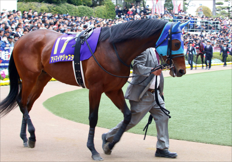 Jraダイレクトの払い戻し方法解説 競馬のクレジットカード購入方法は