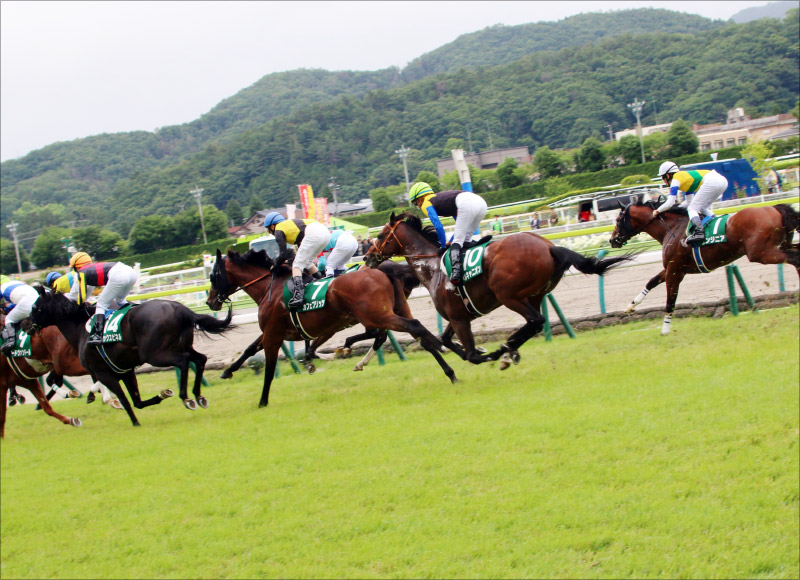 Jra 上がり馬 ノーザンファームも期待する秋競馬の秘密兵器を一挙紹介 Gj