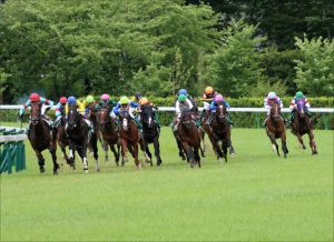 Jraメールドグラース豪g1圧勝も 日本のop レベル 14年以来 5年ぶり歴史的勝利も 快挙じゃない 冷ややかな声も Gj