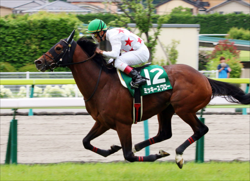 Jra菊沢一樹 未成年飲酒 越えミッキースワローと飛躍 オールカマー G2 2強に割って入れるか Gj