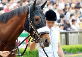 JRAアーモンドアイ出走のドバイ『無観客』決定。不安はサウジでもあった直前“トラブル”……