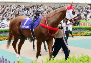 Jra藤田菜七子 同着1位 初勝利 でビックリ クリンチャーに先着したばかりの人気馬が衝撃の引退 Gj