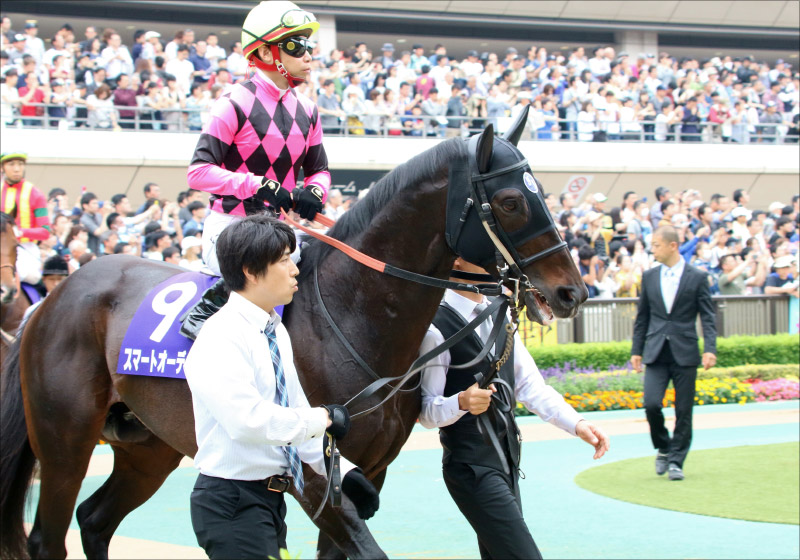 スワンs G2 展望 武豊でスマートオーディン激変 モズアスコット セイウンコウセイ 不調g1馬 で大荒れ確実 Gj