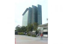 5G、重大な健康被害示す研究相次ぐ…世界で導入禁止の動き、日本では議論すら封印