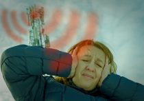 5G、重大な健康被害示す研究相次ぐ…世界で導入禁止の動き、日本では議論すら封印