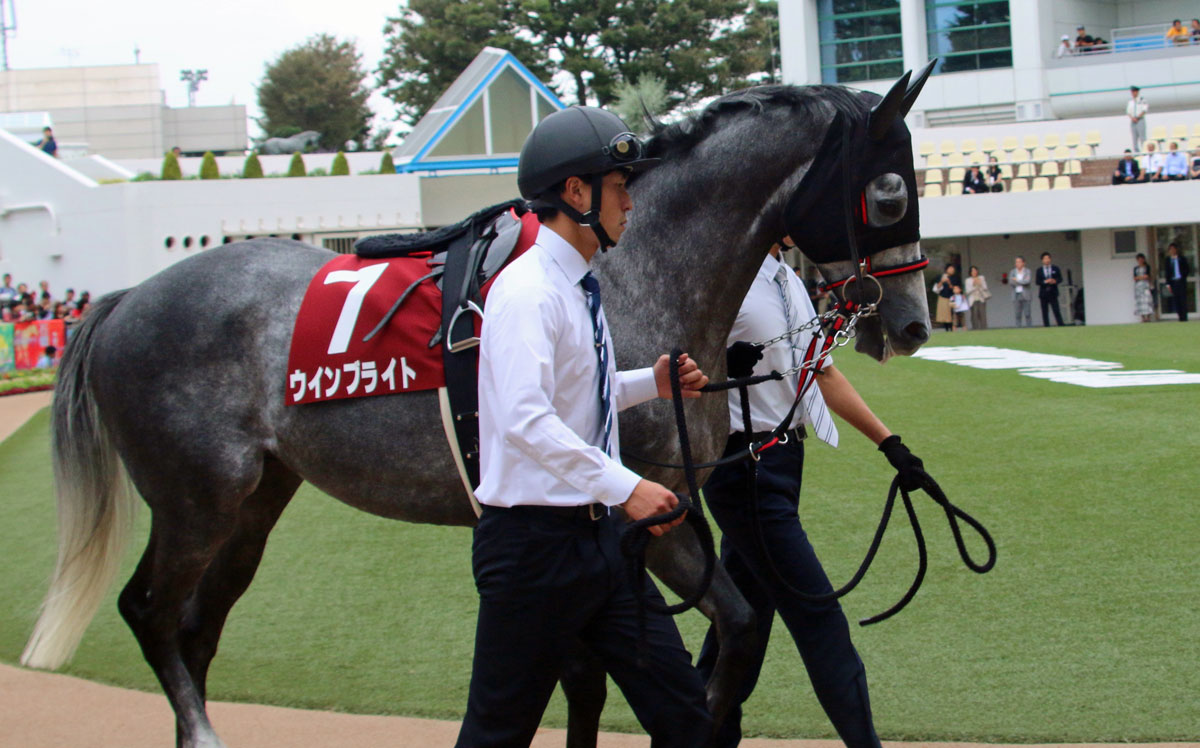 Jraå‹¢ãŒã¾ã•ã‹ã® å¤§å¤–æž ã‚¸ãƒ£ãƒƒã‚¯ ã‚¢ãƒ‰ãƒžã‚¤ãƒ¤ãƒžãƒ¼ã‚º ãƒ€ãƒŽãƒ³ã‚¹ãƒžãƒƒã‚·ãƒ¥ã«é¦™æ¸¯å›½éš›ç«¶èµ° æ˜¨å¹´3å‹ ã® ãƒ„ã‚± ã‹ Gj