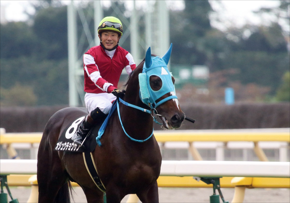 Jra 伝説 健在 オジュウチョウサン9馬身差レコード圧勝 阪神スプリングジャンプ G2 最優秀障害馬シングンマイケルら寄せ付けず