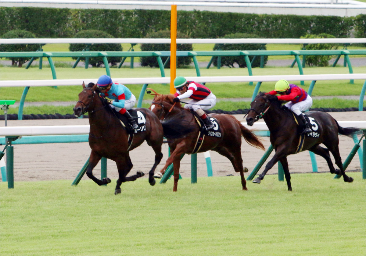 JRA桜花賞3着馬の50キロに「反則」の声、夏競馬の名物「3歳馬無双」が函館スプリントS（G3）で猛威の画像1