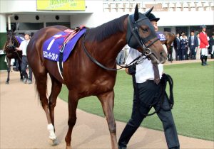 Jra 珍客ヨシオ まさかの有馬記念 G1 へ不気味すぎる再始動 アイドルオーディション1位の根強い人気と 気になるグランプリの 空席 Gj