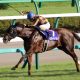 【京阪杯（G3）展望】「武豊→松若」で復活モズスーパーフレア実績上位！ 荒れるスプリント重賞にそろった実力馬の頂点に立つのは⁉