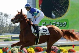 JRA中山牝馬S（G3）に極太◎発見！「関係者（秘）情報」で完全攻略へ!!