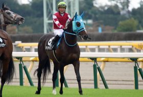 JRA無観客なのに拍手!?「競馬場に来られないファンの分まで」オジュウチョウサン圧勝劇に意外なところから……