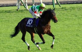 元JRAアンカツ「着差以上なんてもんじゃない」サートゥルナーリア「最強説」も、まだ？ 真の現役最強へ試しておきたい「あのレース」