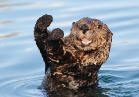 いまだにフジを苦しめる“スマスマの呪縛”…月曜夜10時枠、絶対に低視聴率しか取れず