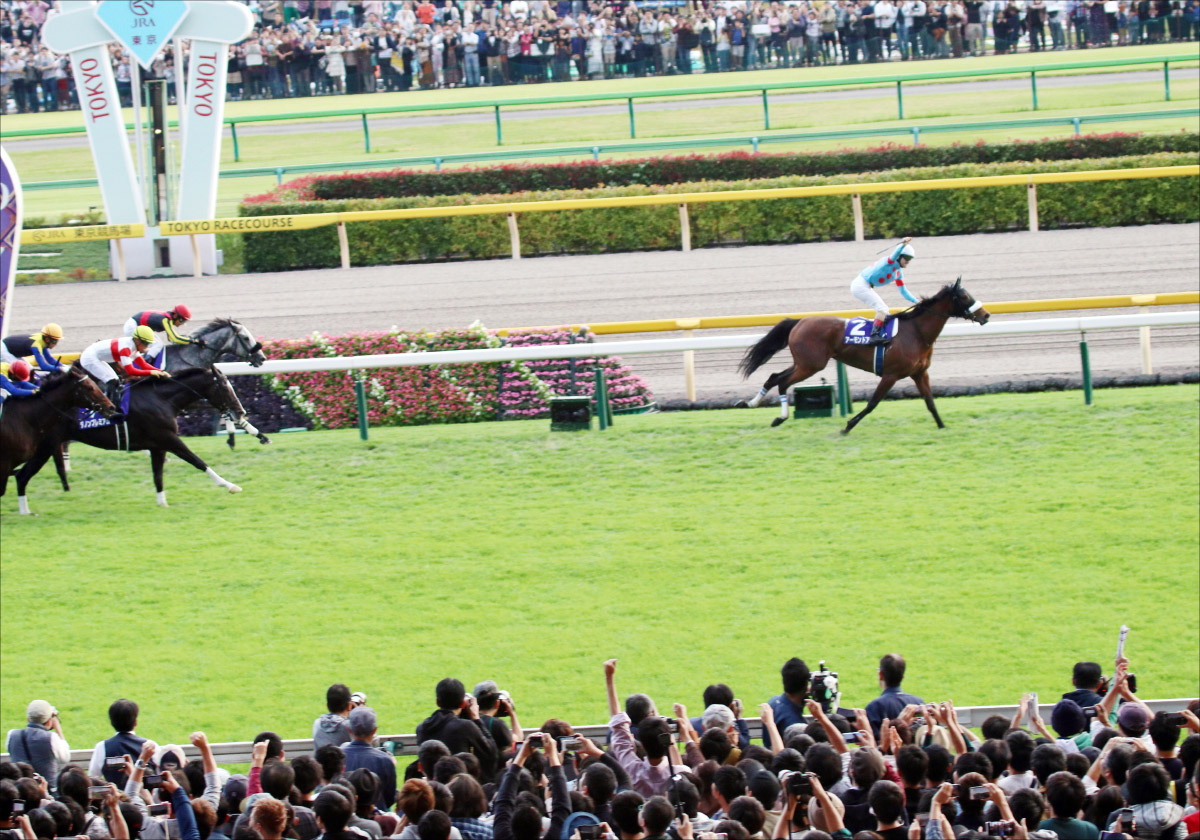 JRA理事長ジャパンC「外国馬ゼロ」問題を語る。東京競馬場に新・検疫厩舎も「高速馬場」改革には……の画像1
